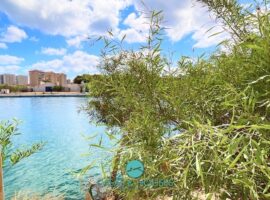 Vivir frente rodeado de agua: encanto mediterráneo y vistas eternas al puerto